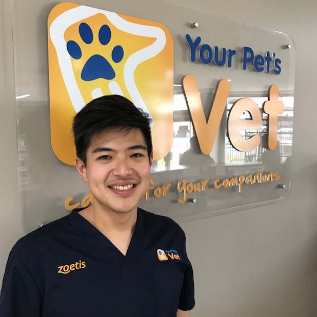 Meet Our Fun Loving Team Your Pets Vet